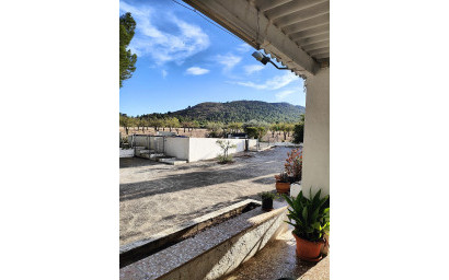Resale - Finca / Country Property -
Yecla