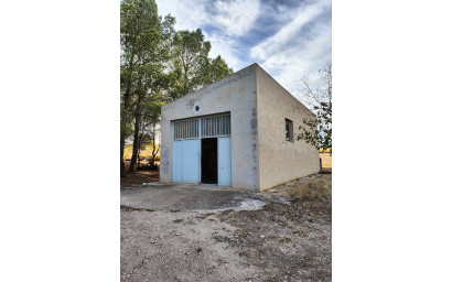 Resale - Finca / Country Property -
Yecla