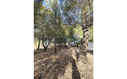 Resale - Finca / Country Property -
Yecla