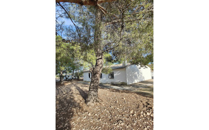 Resale - Finca / Country Property -
Yecla