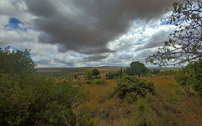 Resale - Finca / Country Property -
Yecla