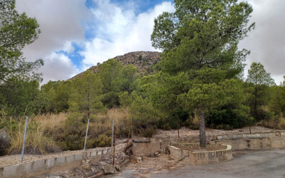 Resale - Finca / Country Property -
Yecla