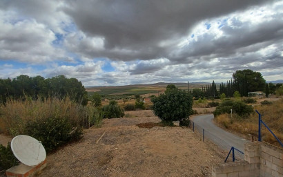 Resale - Finca / Country Property -
Yecla