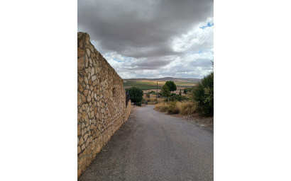 Resale - Finca / Country Property -
Yecla