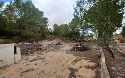 Resale - Finca / Country Property -
Yecla