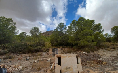 Resale - Finca / Country Property -
Yecla