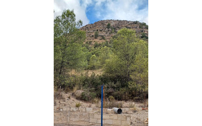 Resale - Finca / Country Property -
Yecla