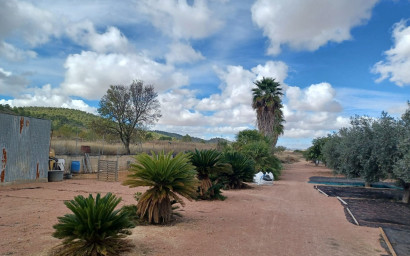 Herverkoop - Landhuis -
Monovar