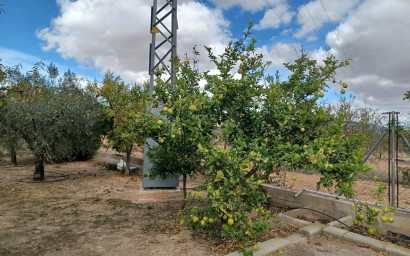 Herverkoop - Landhuis -
Monovar