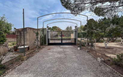 Resale - Finca / Country Property -
Sax