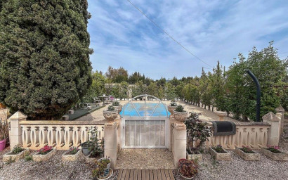 Resale - Finca / Country Property -
Sax