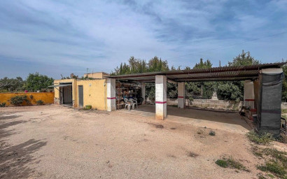 Resale - Finca / Country Property -
Sax