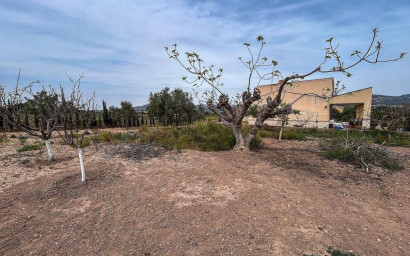 Resale - Finca / Country Property -
Sax