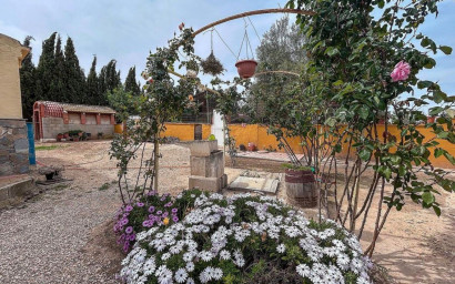 Resale - Finca / Country Property -
Sax