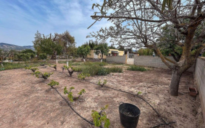 Resale - Finca / Country Property -
Sax