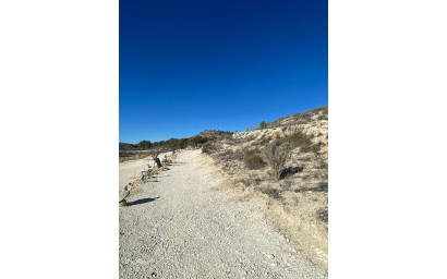 Herverkoop - Land -
Culebr&oacute;n - Culebr&oacute;n Alicante