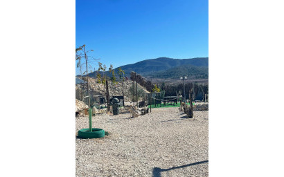 Herverkoop - Land -
Culebr&oacute;n - Culebr&oacute;n Alicante