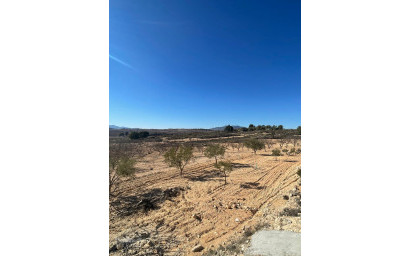 Herverkoop - Land -
Culebr&oacute;n - Culebr&oacute;n Alicante