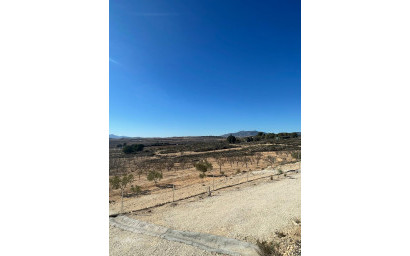 Herverkoop - Land -
Culebr&oacute;n - Culebr&oacute;n Alicante