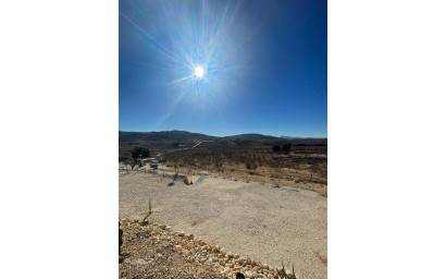 Herverkoop - Land -
Culebr&oacute;n - Culebr&oacute;n Alicante