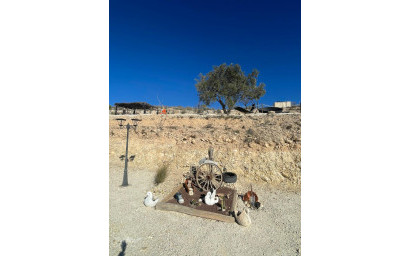 Herverkoop - Land -
Culebr&oacute;n - Culebr&oacute;n Alicante