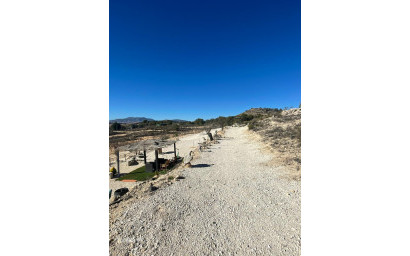 Herverkoop - Land -
Culebr&oacute;n - Culebr&oacute;n Alicante