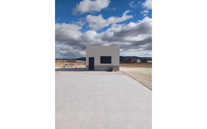 Nouvelle construction - Villa -
Pinoso