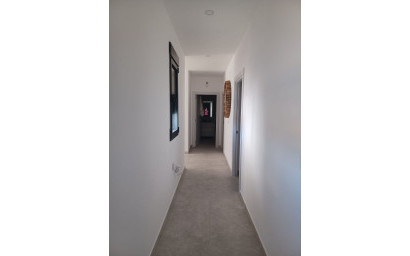 Nouvelle construction - Villa -
Pinoso