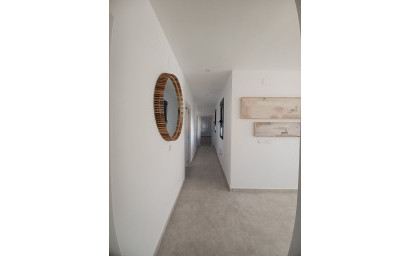 Nouvelle construction - Villa -
Pinoso