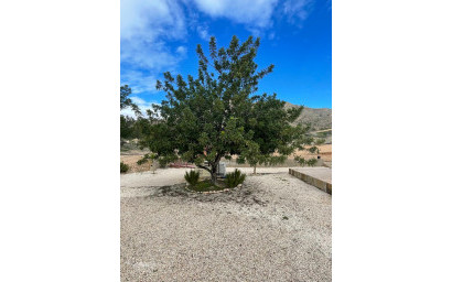 Resale - Villa -
Macisvenda - Macisvenda Murcia