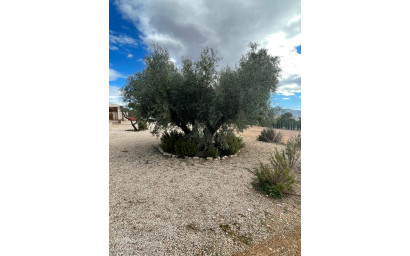 Resale - Villa -
Macisvenda - Macisvenda Murcia