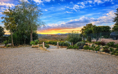 Revente - Villa -
Torremendo