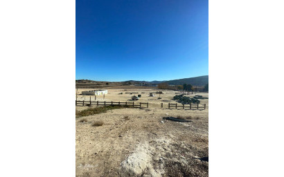 Resale - Commercial -
Pinoso - Pinoso Alicante