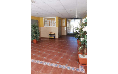 Herverkoop - Plat -
Rafal