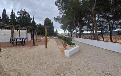 Resale - Finca - Country Property -
Yecla