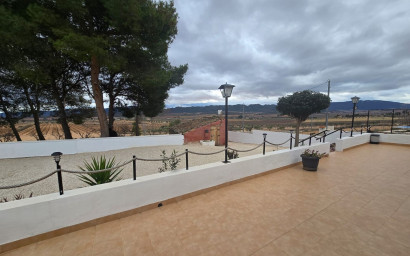 Resale - Finca - Country Property -
Yecla