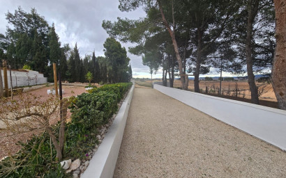 Resale - Finca - Country Property -
Yecla