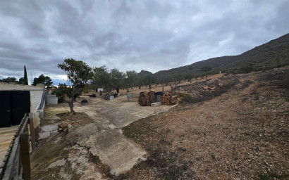 Resale - Finca - Country Property -
Yecla