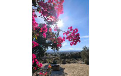 Resale - Finca - Country Property -
Fortuna