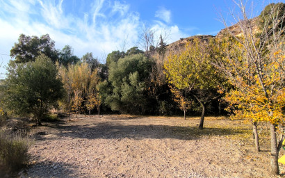 Resale - Finca - Country Property -
Fortuna