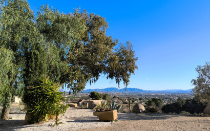 Resale - Finca - Country Property -
Fortuna