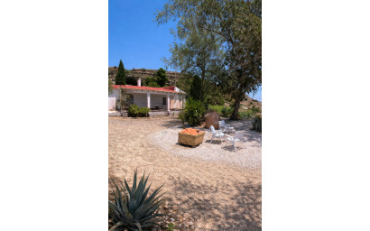 Resale - Finca - Country Property -
Fortuna