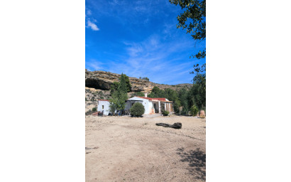 Resale - Finca - Country Property -
Fortuna