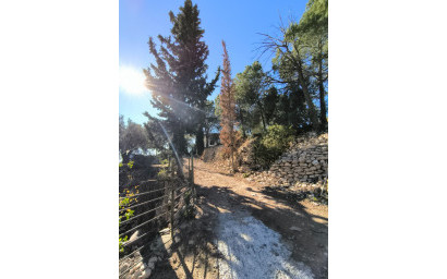 Resale - Finca - Country Property -
Fortuna