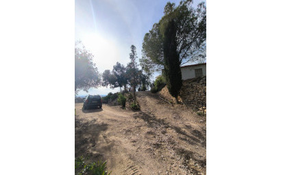 Resale - Finca - Country Property -
Fortuna