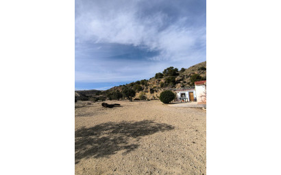 Resale - Finca - Country Property -
Fortuna