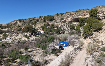 Resale - Finca - Country Property -
Fortuna