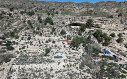 Resale - Finca - Country Property -
Fortuna