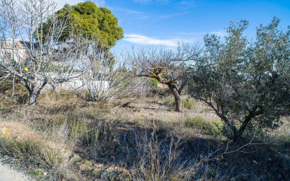 Resale - Finca - Country Property -
Pinoso