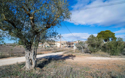 Resale - Finca - Country Property -
Pinoso
